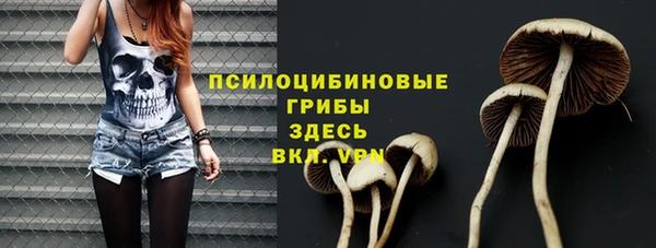 ГАЛЛЮЦИНОГЕННЫЕ ГРИБЫ Магадан