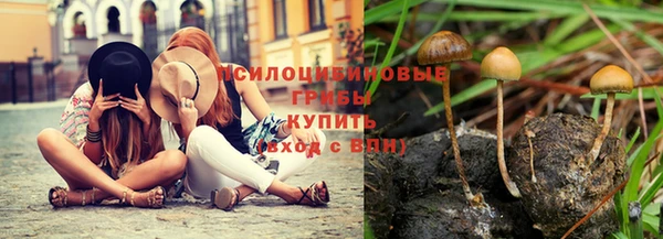 спиды Майский