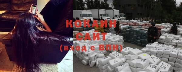 ГАЛЛЮЦИНОГЕННЫЕ ГРИБЫ Магадан