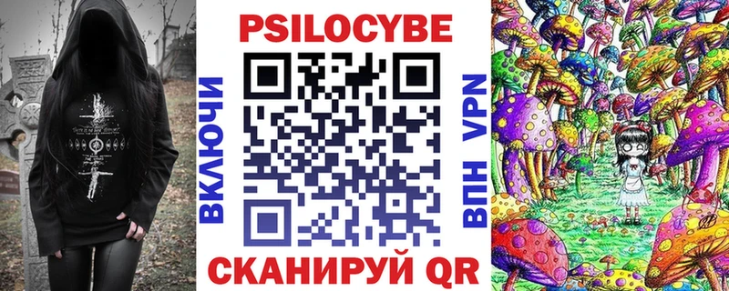 Купить где  Мещовск  Галлюциногенные грибы Cubensis 